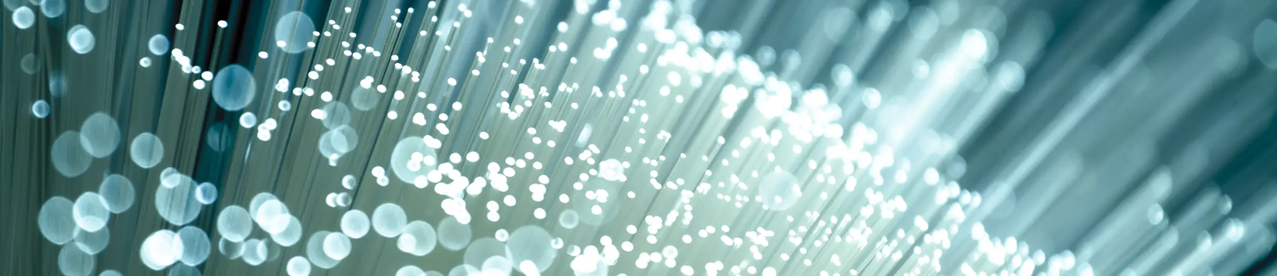 Shutterstock 101262022