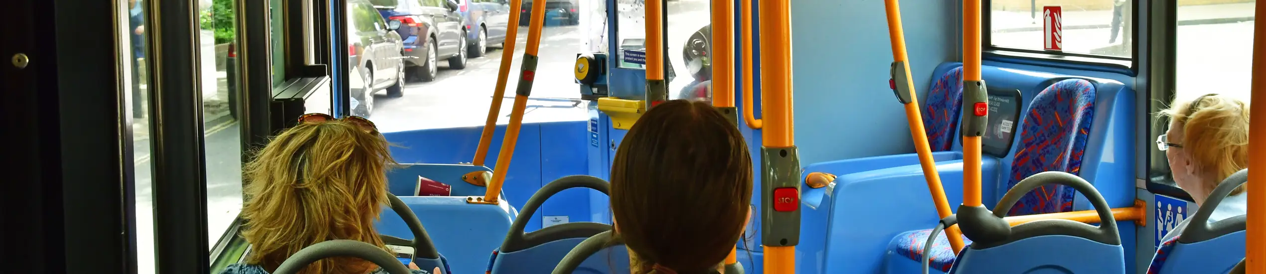 Adobestock 523373947