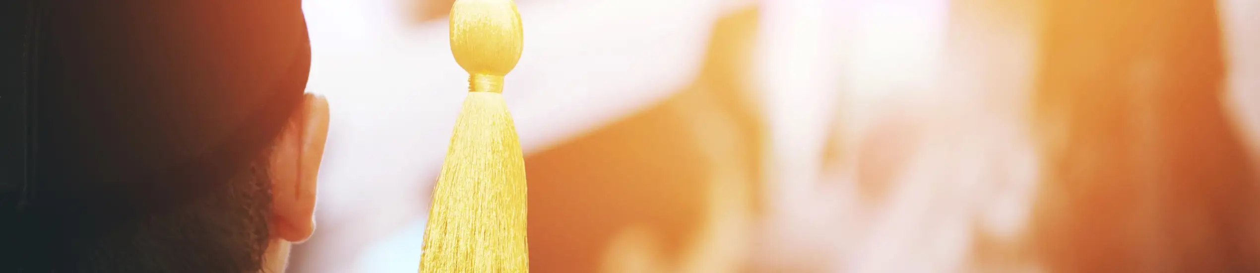 Adobestock 175945006