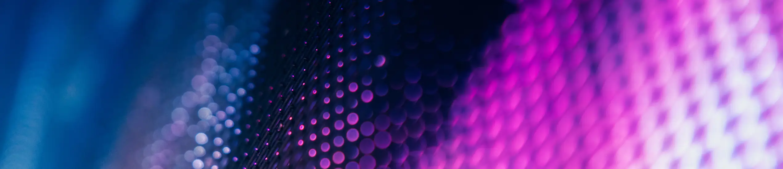 Shutterstock 1555024955